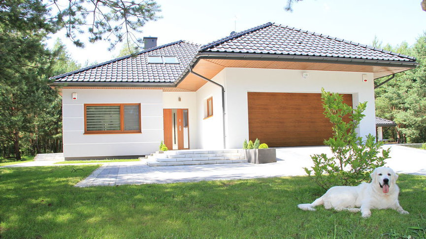 Liv 3 G2 - realizacja projektu