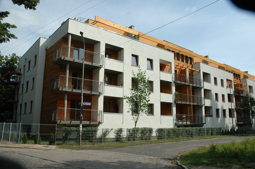 Pałucka – STUDIO Artur Wójciak